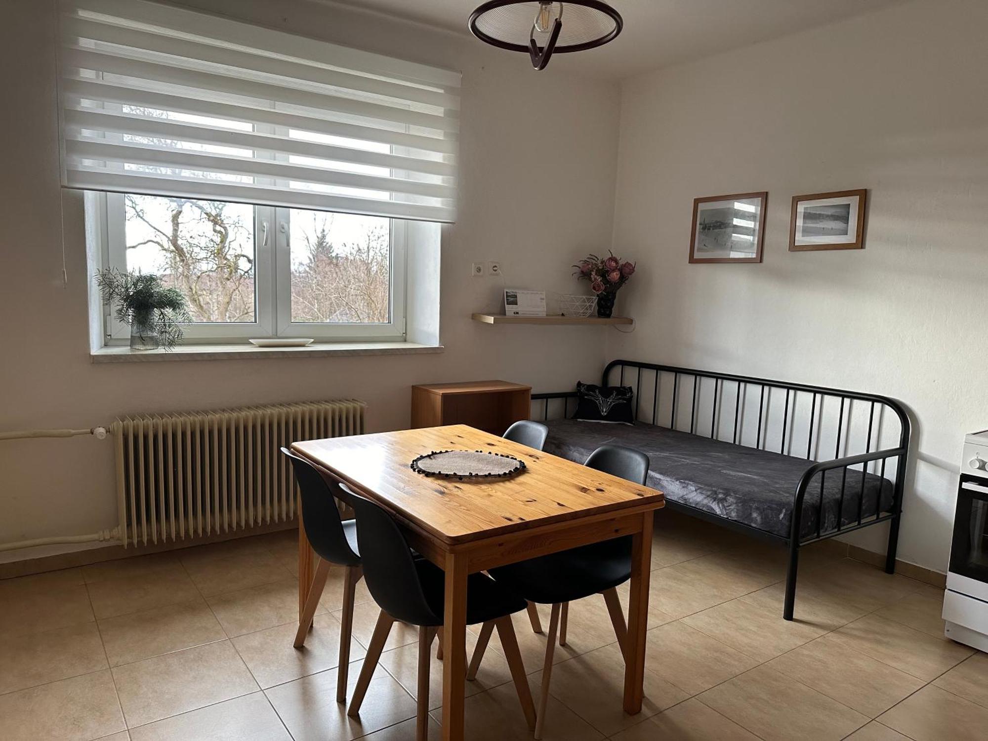 Apartman Aneta Nove Mesto Na Morave Exteriör bild